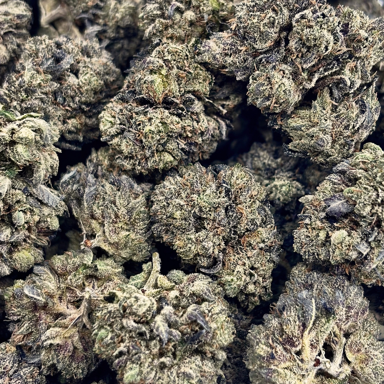Lindsay OG // OZ Special