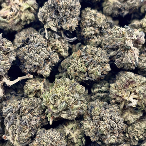 Lindsay OG // OZ Special