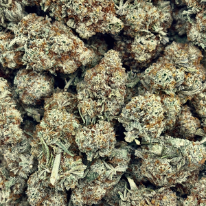 Pie Crusher // OZ Special