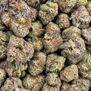 King Louie XIII // OZ Special