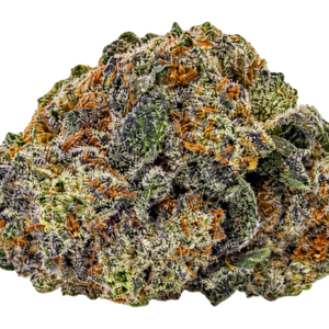 King Louie XIII
