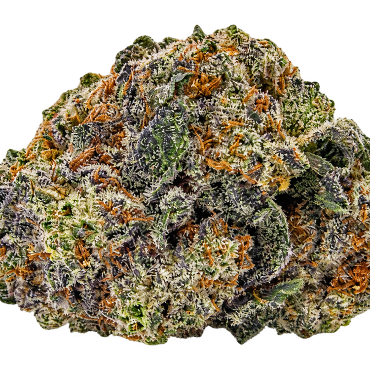 King Louie XIII