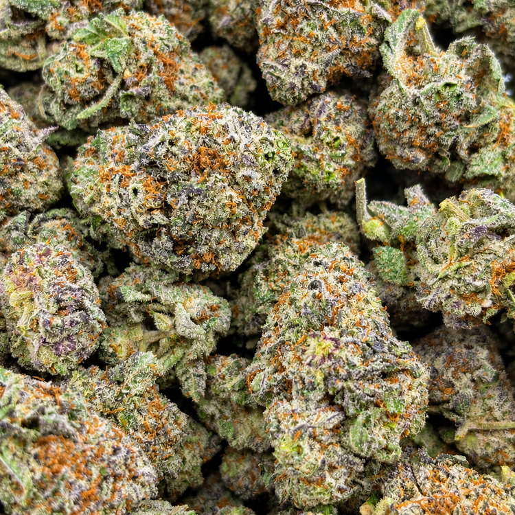 King Louie XIII