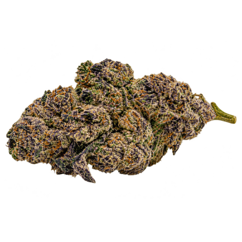Oreo Blizzy // OZ Special