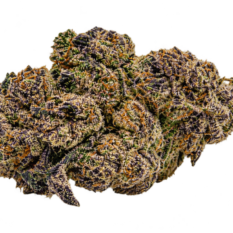 Oreo Blizzy // OZ Special