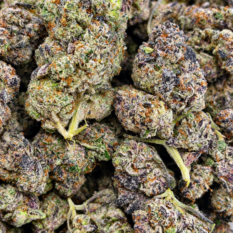 Oreo Blizzy // OZ Special