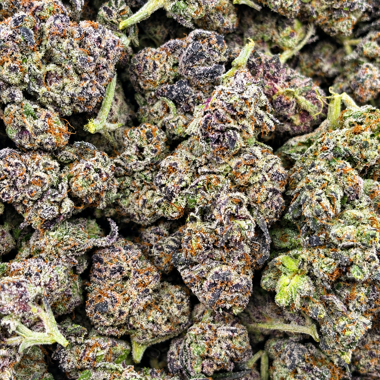 Oreo Blizzy // OZ Special