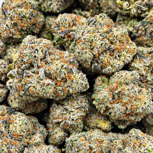 Space Monkey // OZ Special