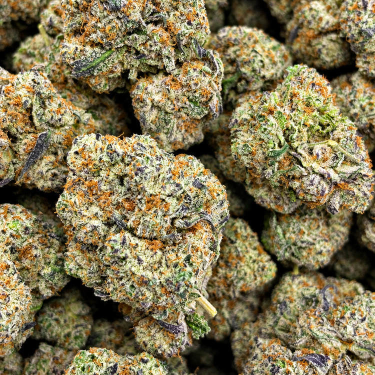 Space Monkey // OZ Special