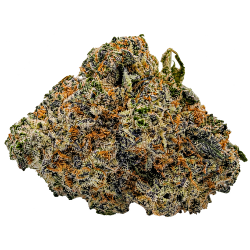 Space Monkey