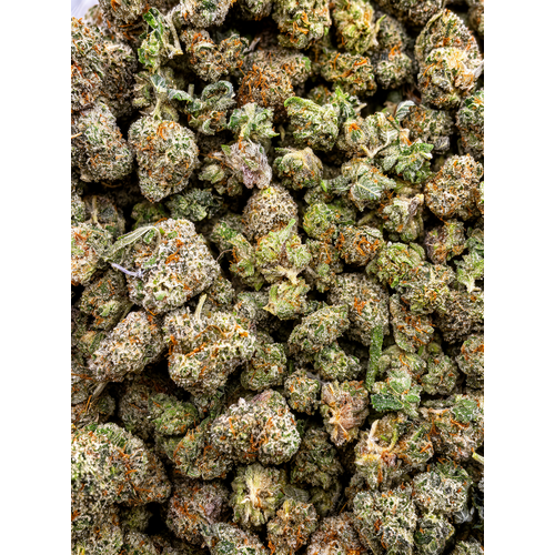 Popcorn Medley // OZ Special