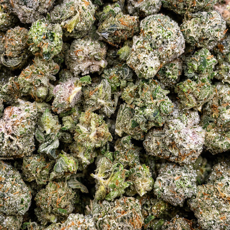 Popcorn Medley // OZ Special