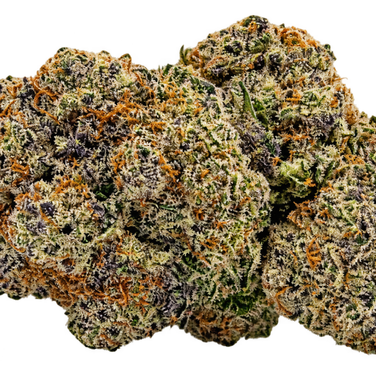 Tropicanna