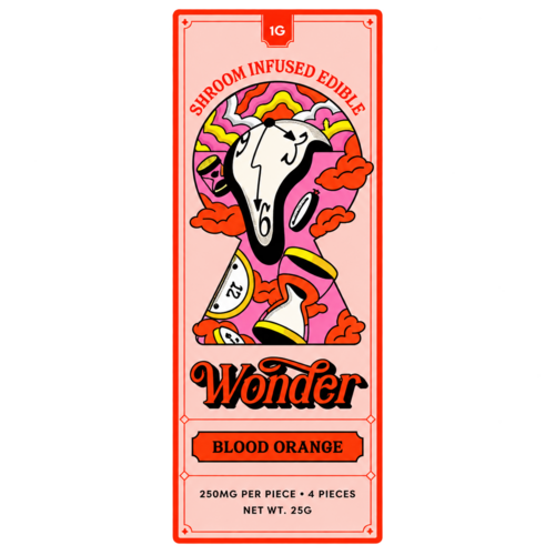 Wonder Shroom Infused Chocolate Bar - 1g (Various Flavours)