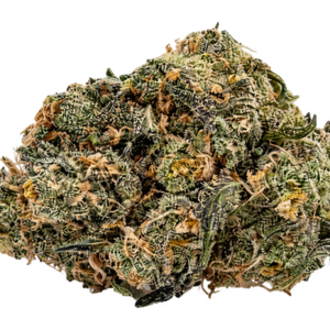 Goudaberry // OZ Special