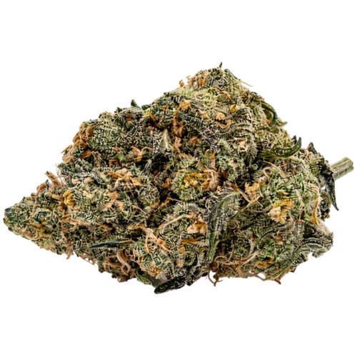Goudaberry (Bulk Options)