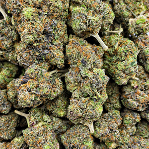 Death Bubba // OZ Special