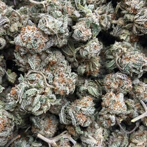 Popcorn Double OG // OZ Special