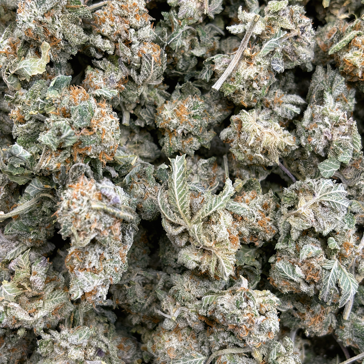 Popcorn Double OG (Bulk Options)