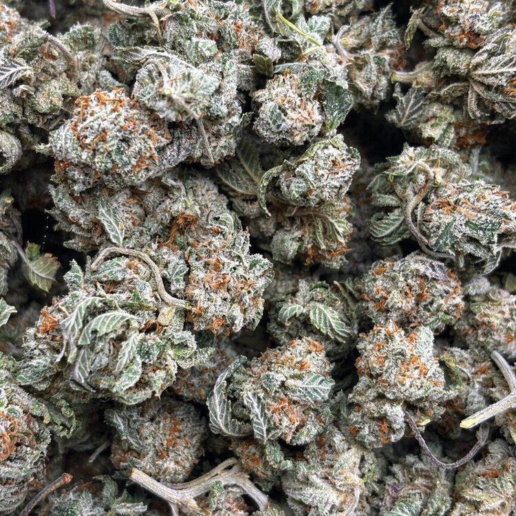 Popcorn Double OG (Bulk Options)