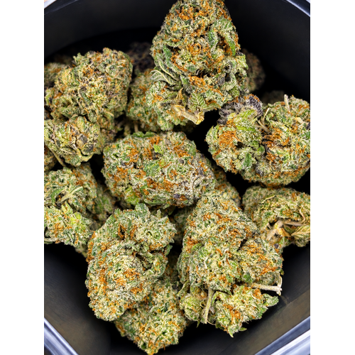 Indica Hybrid Medley // OZ Special