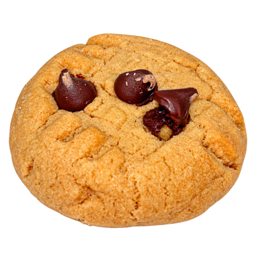 Stepping Stone Holistic Living Chocolate Chip & Peanut Butter Cookie - 400mg THC