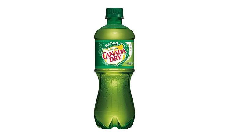 canada dry Canada Dry Ginger Ale Soda-20oz Bottle