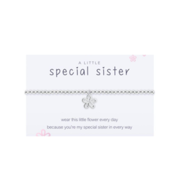 A Little Special Sister Bracelet