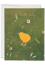 Baby Chick Card