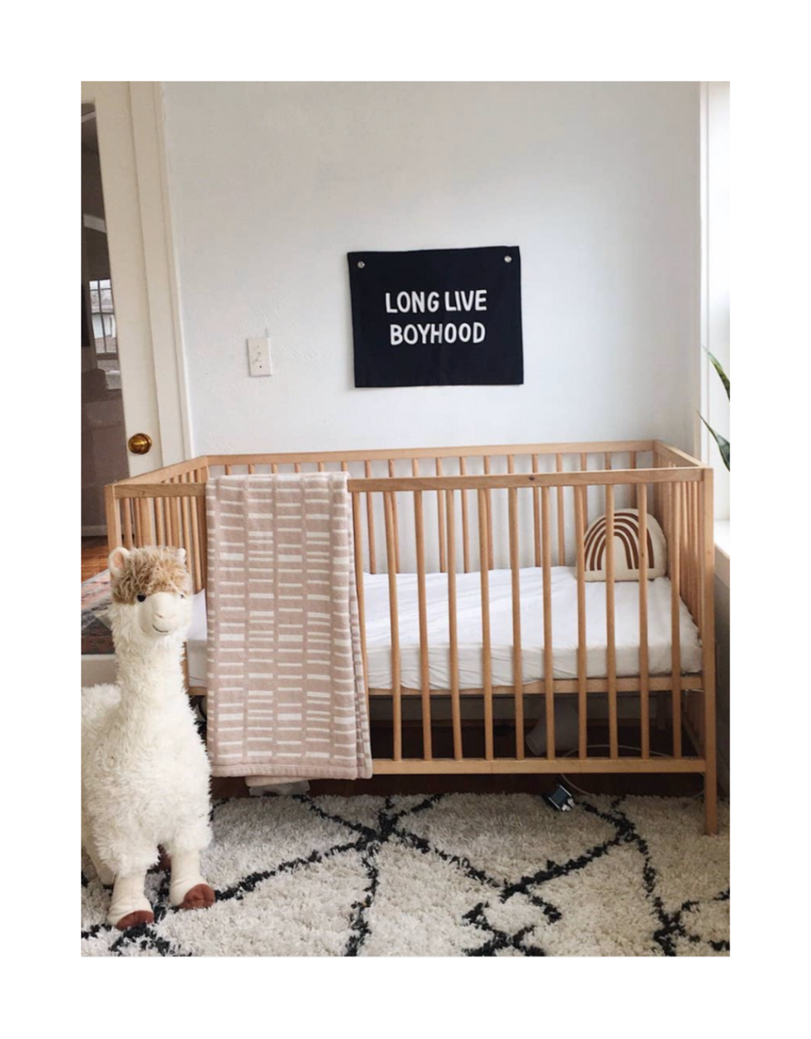 Long Live Boyhood Banner