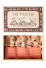 Baby Mice Triplets In Matchbox