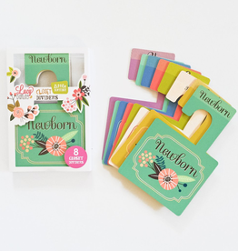 Artist Closet Dividers