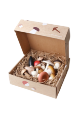 Forest Mushrooms in a box
