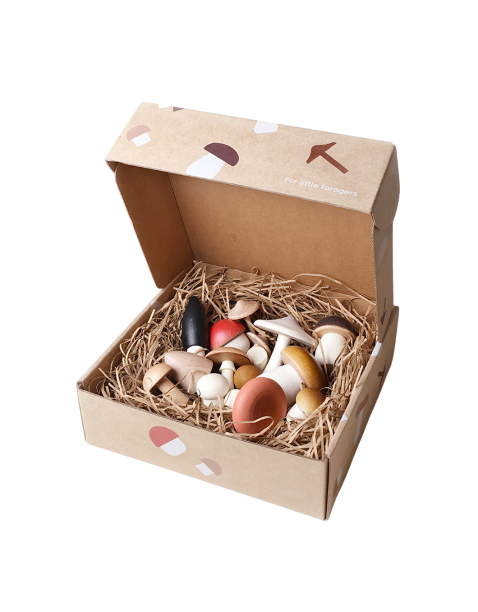 Forest Mushrooms in a box