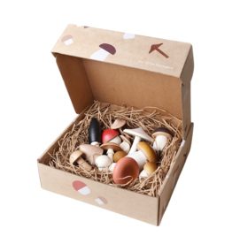 Forest Mushrooms in a box