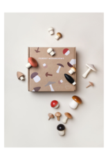 Forest Mushrooms in a box