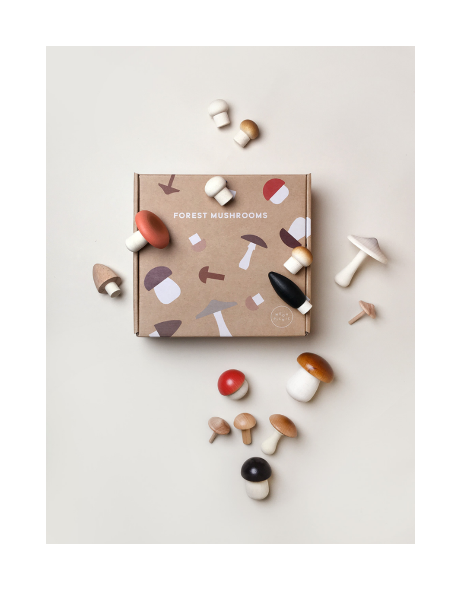 Forest Mushrooms in a box