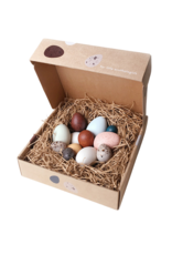 A Dozen Bird Eggs in a box