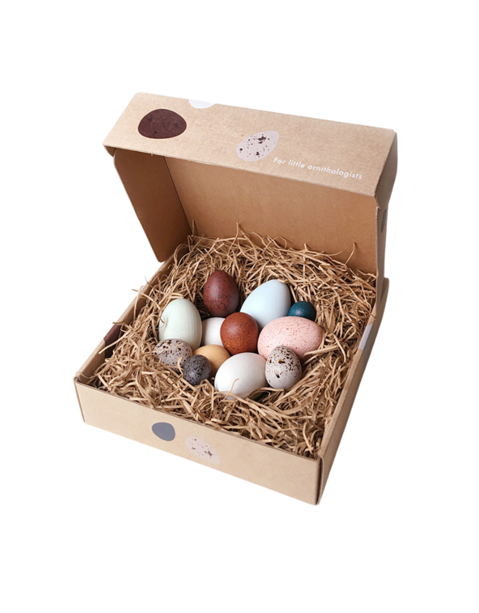 A Dozen Bird Eggs in a box