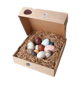 A Dozen Bird Eggs in a box