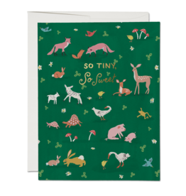 Tiny Animals Card
