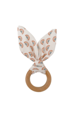 Crinkle bunny Ears Teether - Rainbow