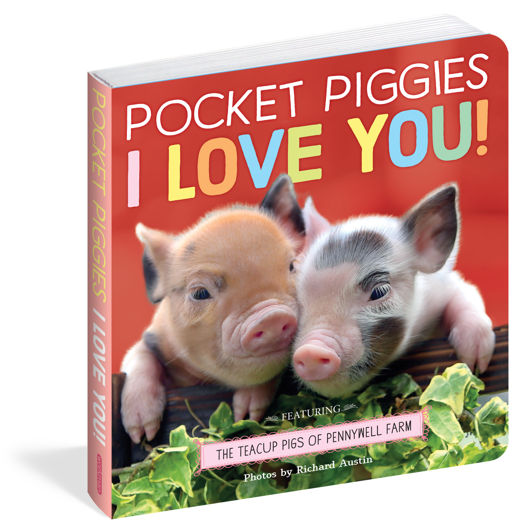 workman publishing Pocket Piggies: I Love You!