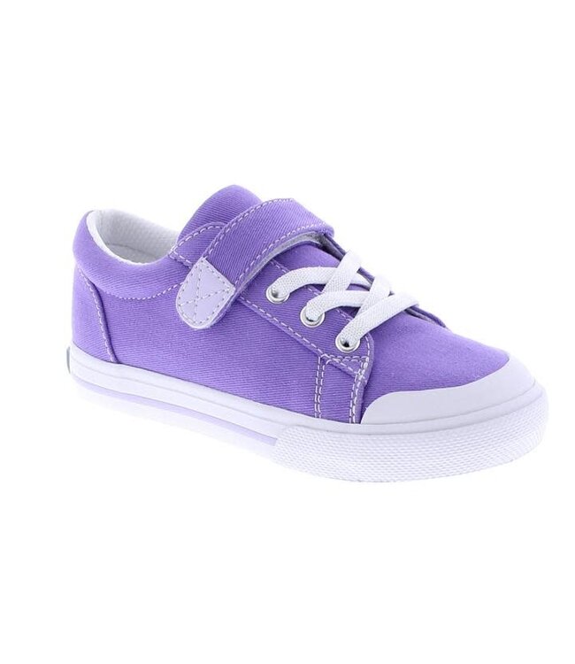 Footmates Purple Jordan Shoe