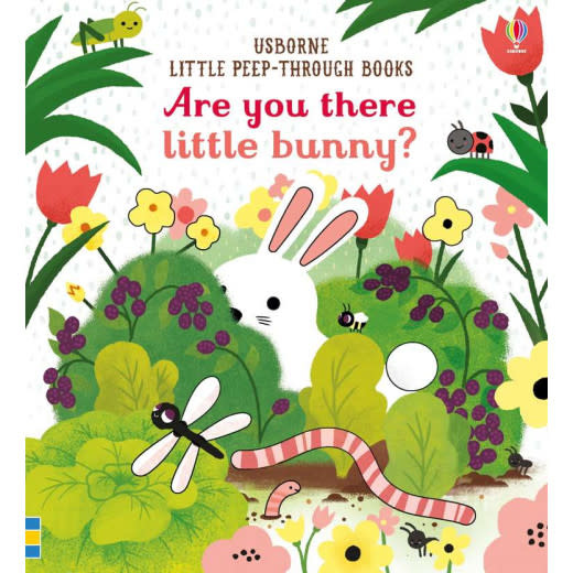 EDC/Usborne Are You There Little Bunny?