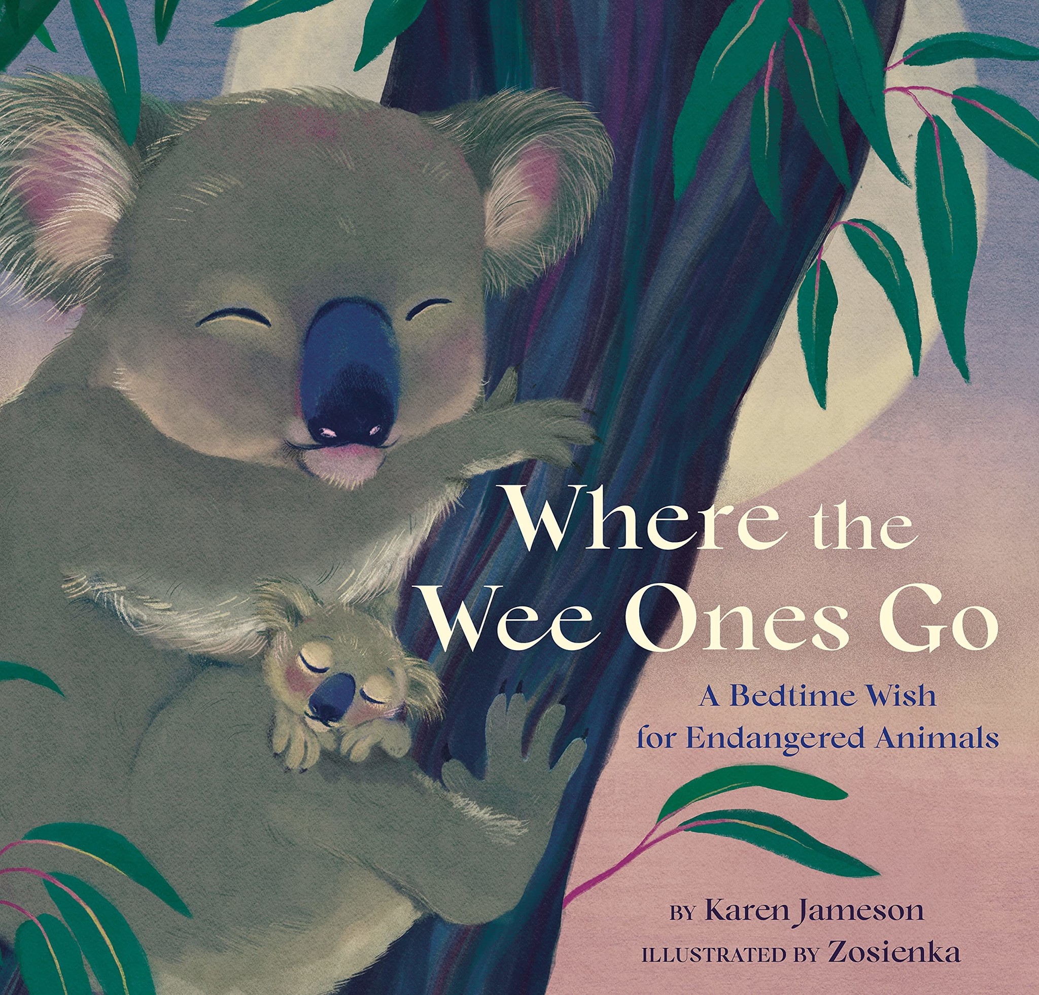 hachette book group Where the Wee Ones Go