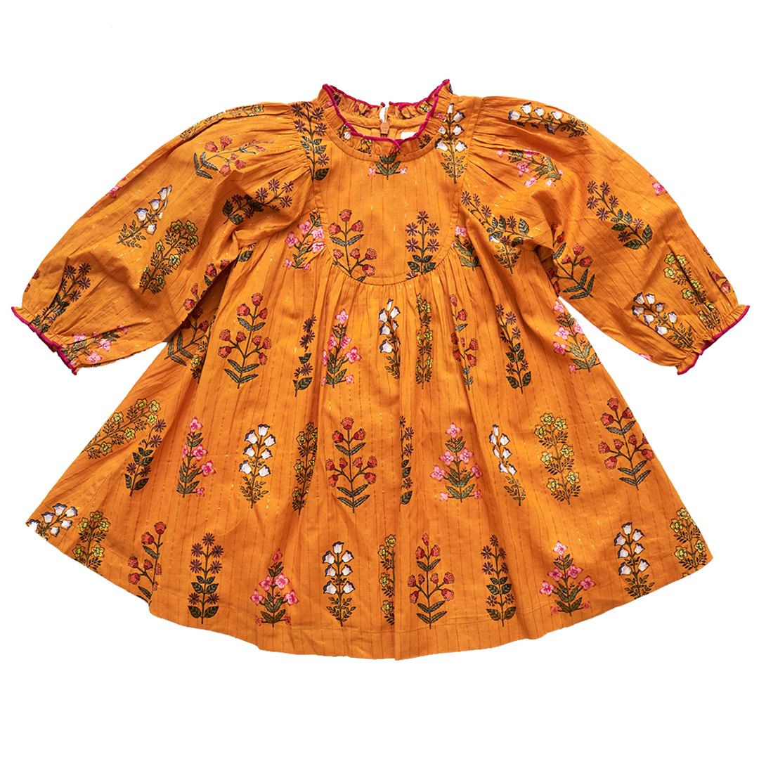 Pink Chicken Gold Field Floral Brayden Dress