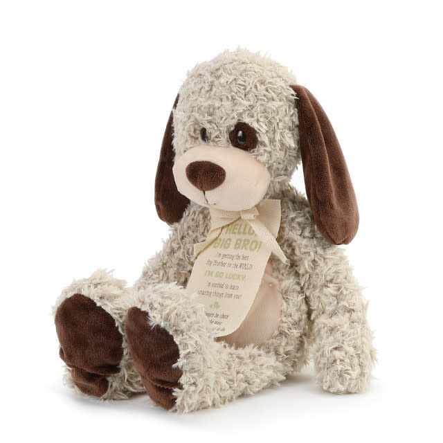 demdaco Gift from the New Kid Bear