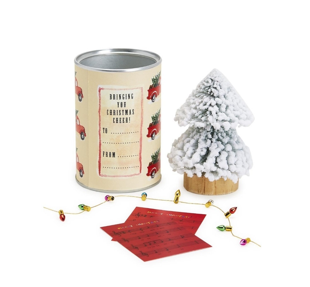cupcakes & cartwheels Christmas in a Can