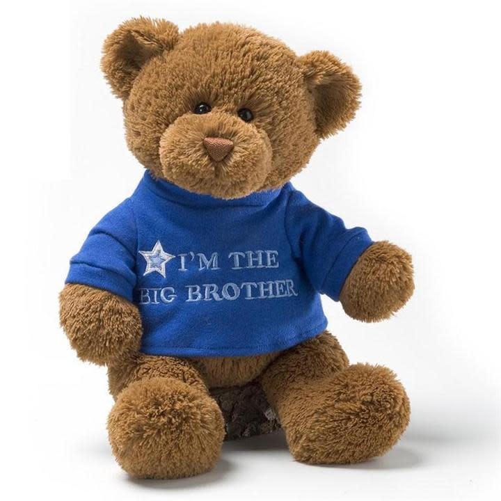 Gund 12" Big Brother Bear